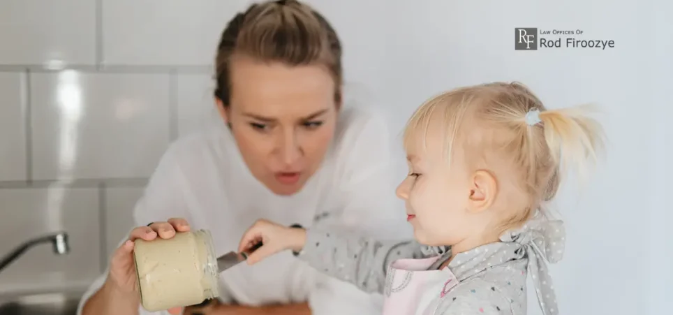 Hillsborough Child Custody Lawyer-img